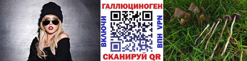 Псилоцибиновые грибы мухоморы  Правдинск 